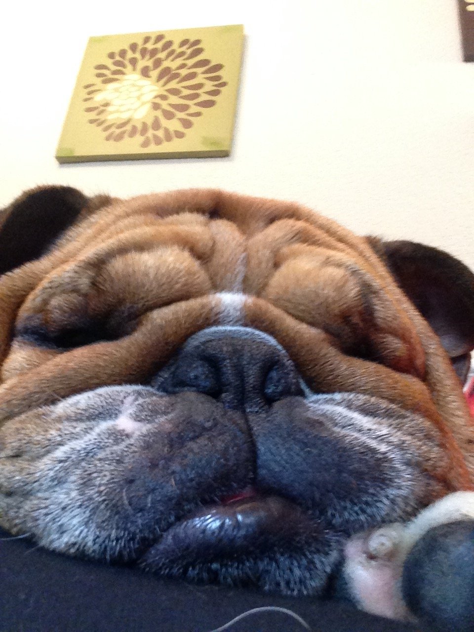 Watson's Vintage Finds