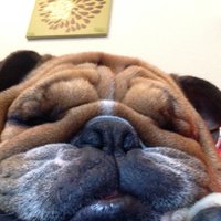 Watson's Vintage Finds