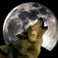 Ken Hummel ( AKA Mr. X)