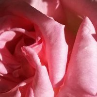 Maria🏴󠁧󠁢󠁥󠁮󠁧󠁿