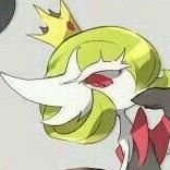 Aᴜʀᴏʀᴀ オーロラ(Hiatus)