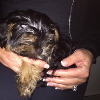 Roberta 🐾 🌊🌊🌊🌊🌊 🏴‍☠️