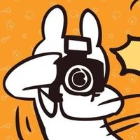 대리찍사 토끼 🐰