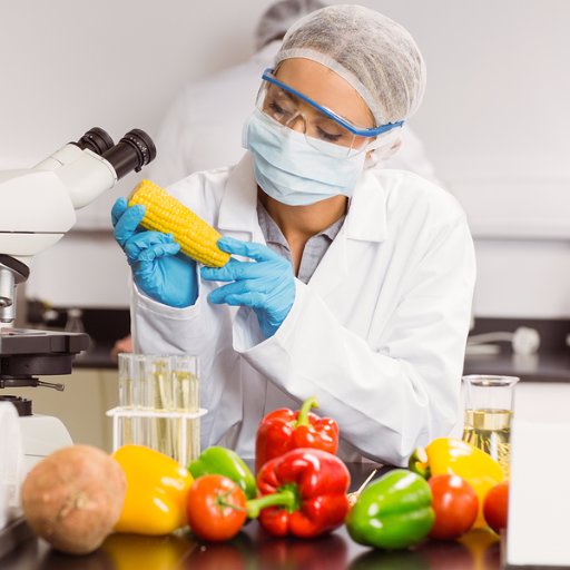 Food Technology and Probiotics