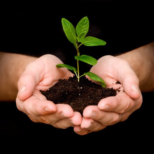 Naveenkumar Devarajan