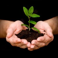 Naveenkumar Devarajan