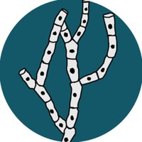 Journal of Fungi MDPI