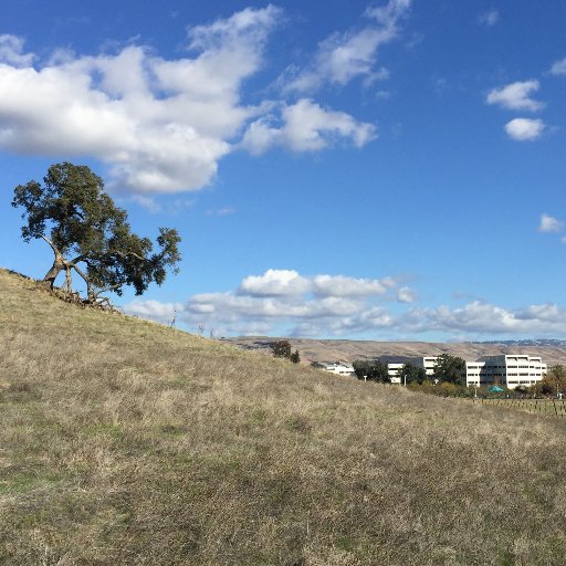 Db2 for z/OS News from the Lab