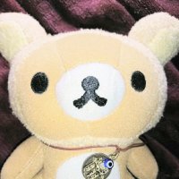 かいゑん (=^･ω･^ )　⚖️