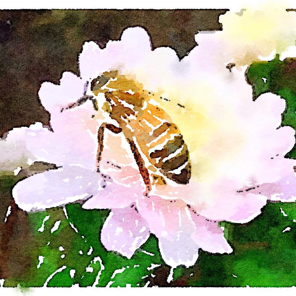 Bee🐝TheChange #Veritaseum for #truth and #freedom