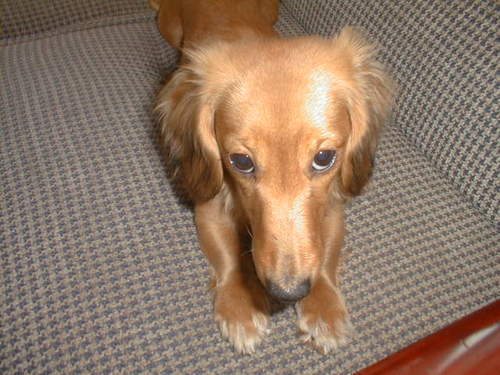 Ｏ元ＴＭ❤️🎶