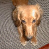 Ｏ元ＴＭ❤️🎶