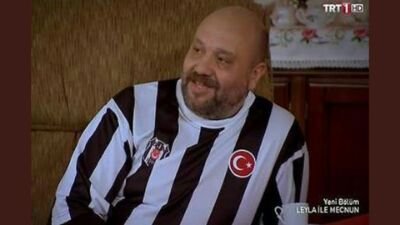 cellulosic raw material