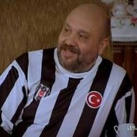 cellulosic raw material