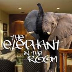 Elephant in the room