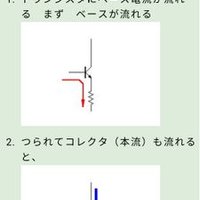 オラホビールのむ？