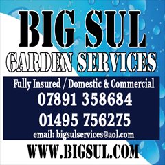 BigSul Services