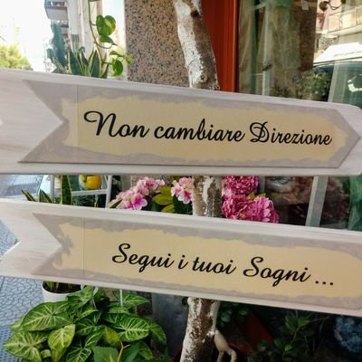 RITA Ferranti Noviel