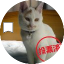 シマシマネコのママ　🌗💙💛🌈（人民。戦争反対。憲法改悪反対。卒原発。PCR検査拡充を）