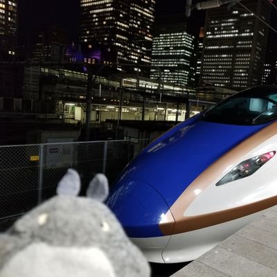 ふわもこ💙💛☃🐈🐨🐩🍡🐔🐥💜立憲民主党党員☃護憲派☃ハト派☃