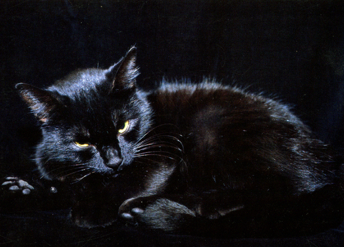 Marie Demker 🇺🇦