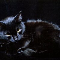 Marie Demker 🇺🇦