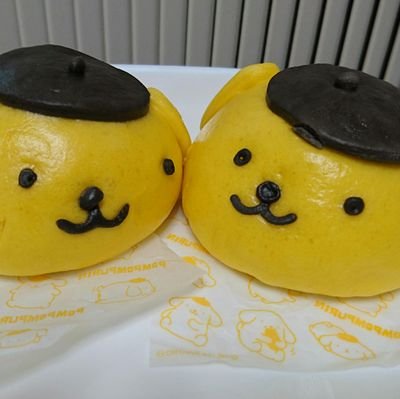 セセリちゃん🎸🐢📷＆🐻🍯