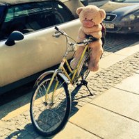 永月🍉#0328新宿平和フェス🐰🦊ZINE販売中🟨⬜️🟪⬛️