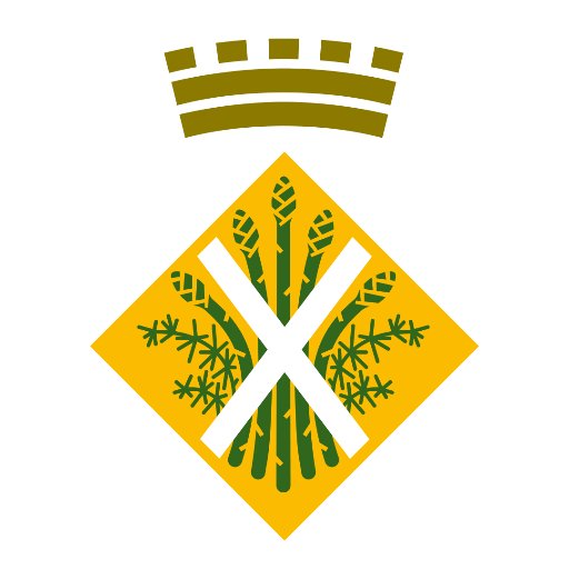 Ajuntament d'Esparreguera