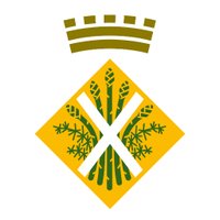 Ajuntament d'Esparreguera