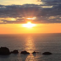 エテポンゲ😼🍥