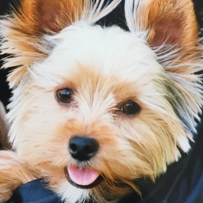 前原政之＠ライター歴38年／『理念と経営』編集長