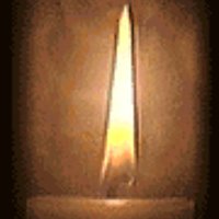 Billionaire Society!