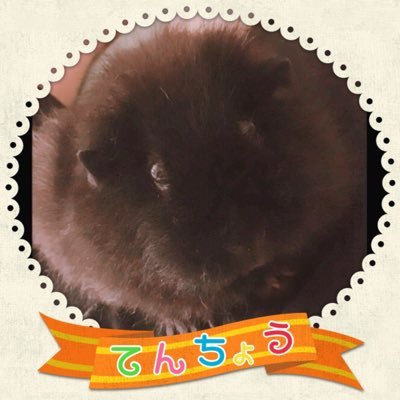 アニソンカラオケバーもるもっと