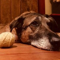 Terence Oscar J. Osborne