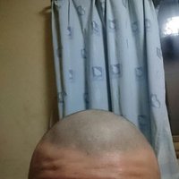 プリケツわにたま