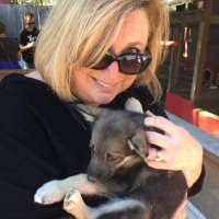 Kerry O RN.MBA 🐭🦝