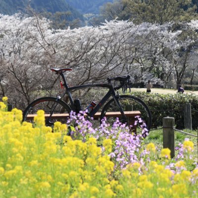 キーボー@BRM321近畿600km高松うどん