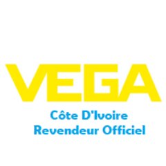 VEGA Instruments CI