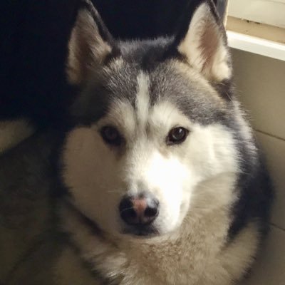 Reg Lee #Nakba #BlackLivesMatter #FreePalestine