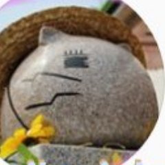 HANIHANISTAR😸 はにさん😸