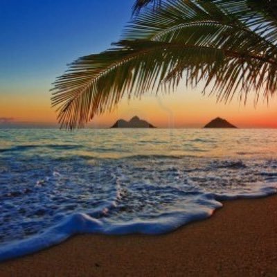 BombergersteinRosenthal III