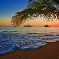 BombergersteinRosenthal III