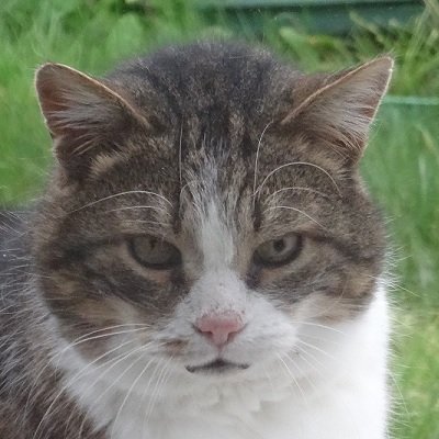 Diab0l029BZH🍀🐢