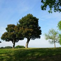 cocowa⛄️❄️🍓🍊🍣🍲💗*𝖳𝗁𝖺𝗇𝗄 𝗒𝗈𝗎🫶 •*¨*•.¸