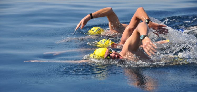 トライアスロン NEWS