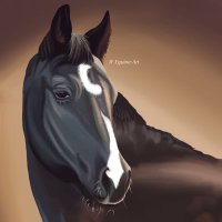 The Artsy Eq - Art