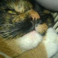 Benita Regardso aka catniss