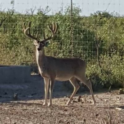 Jose Alfredo Jimenez