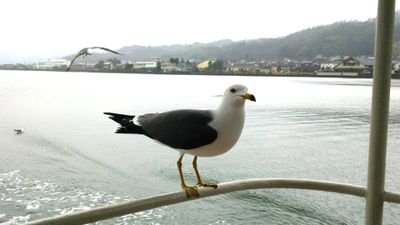 ちえぞう@ダブルケアラー